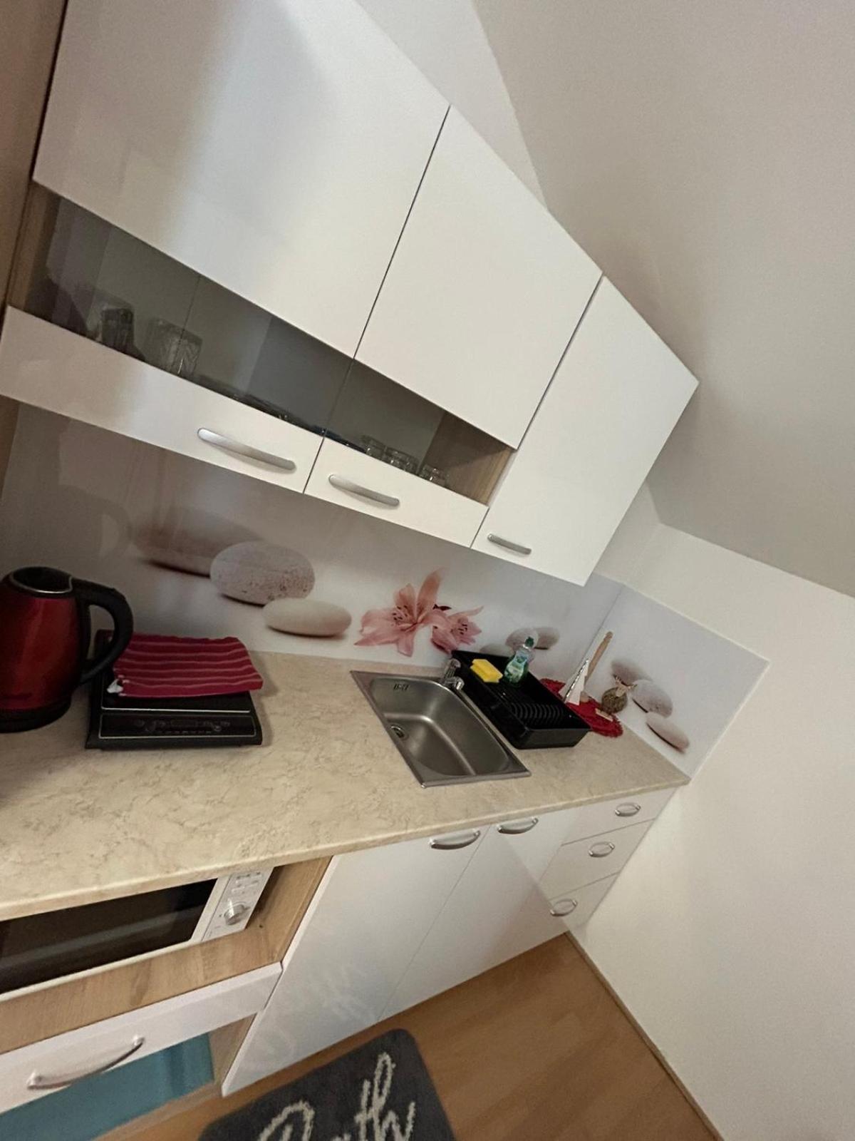 Apartments And Wellness Scavnicar Ljutomer Zewnętrze zdjęcie
